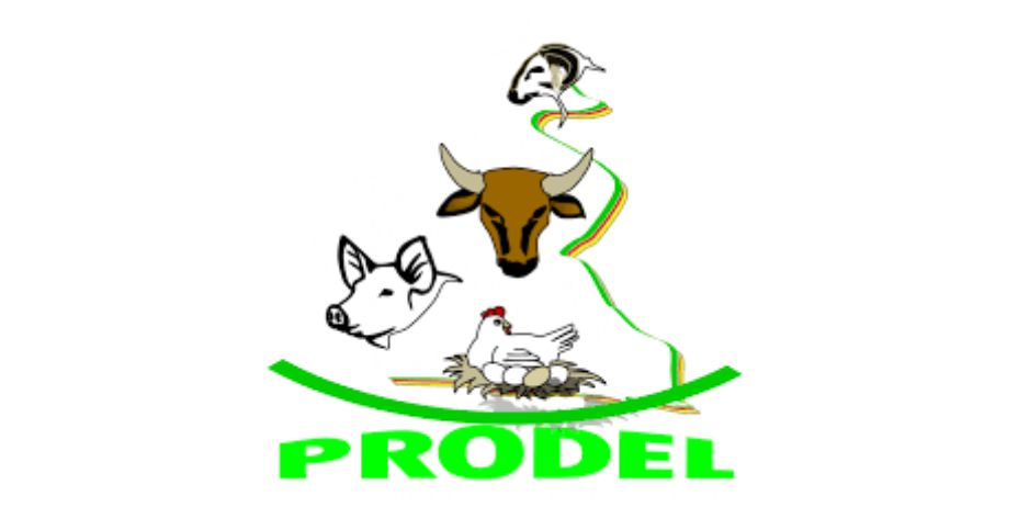 Logo PRODEL
